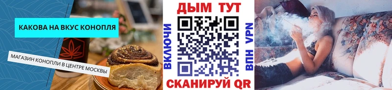 Canna-Cookies конопля  Купить  Мураши 