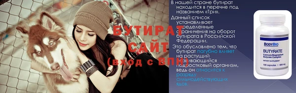сатива Гусев