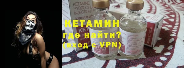 сатива Гусев