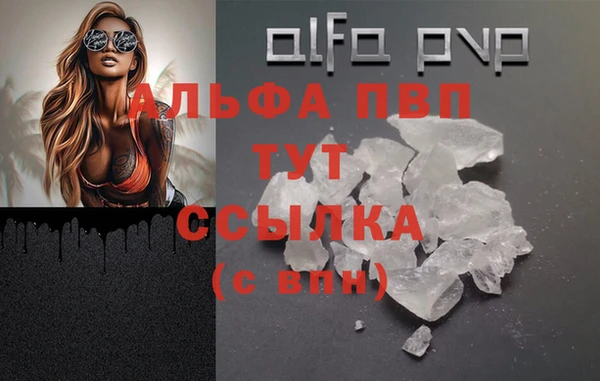 сатива Гусев
