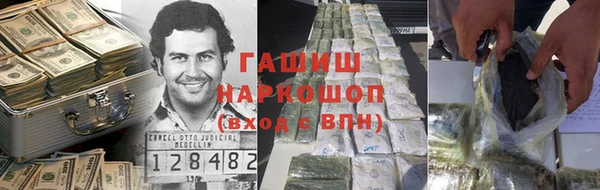 сатива Гусев