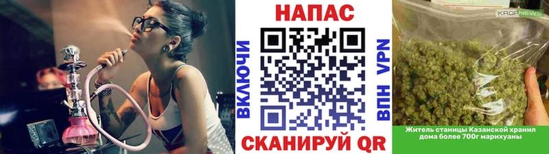 Купить  Мураши  Конопля семена 
